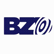 Bergmann Zwerdling Direct Logo